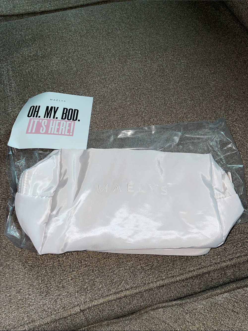 NWT Cosmetics Bag